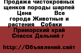 Продажа чистокровных щенков породы шарпей › Цена ­ 8 000 - Все города Животные и растения » Собаки   . Приморский край,Спасск-Дальний г.